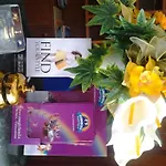 Verdi פיוג'י