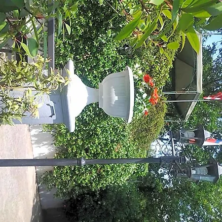 Verdi 3*