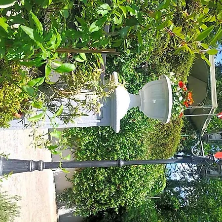 Verdi Fiuggi