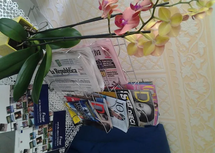 Verdi 3* فيوجّي